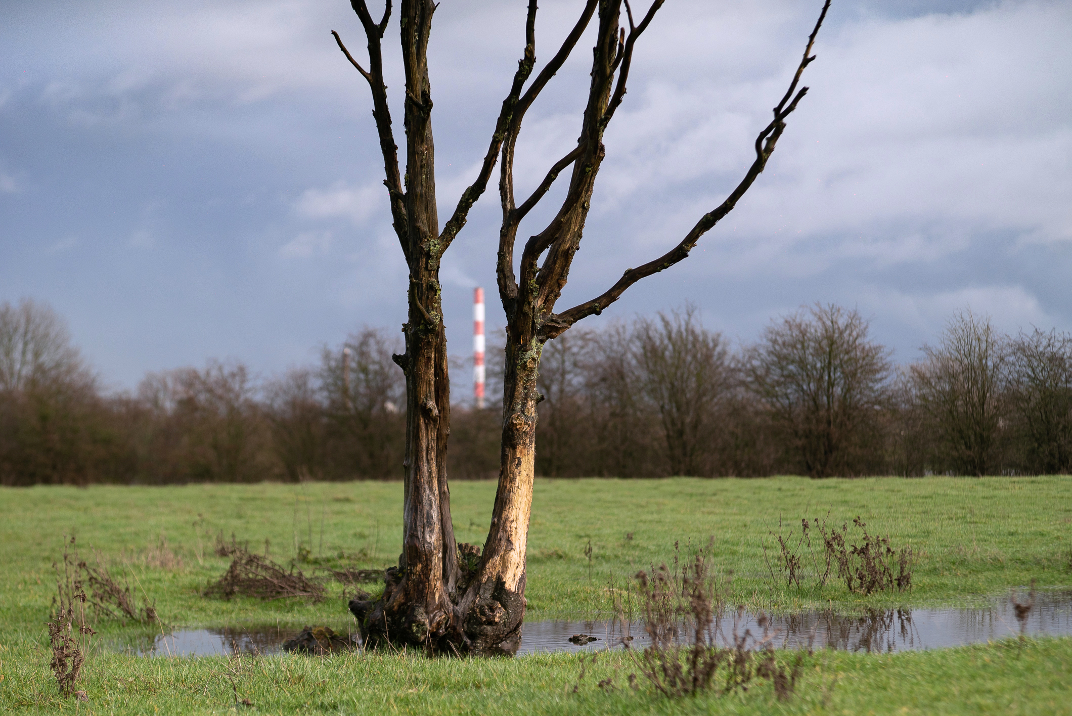 Rousies, Sambre en crue