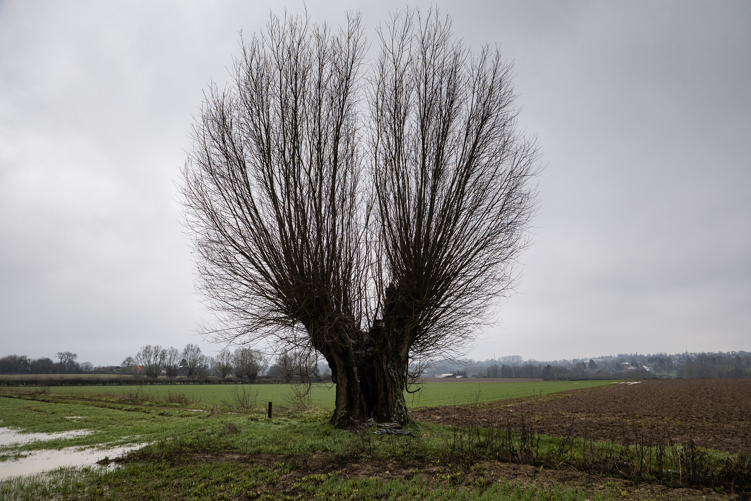 Près de Frasnoy