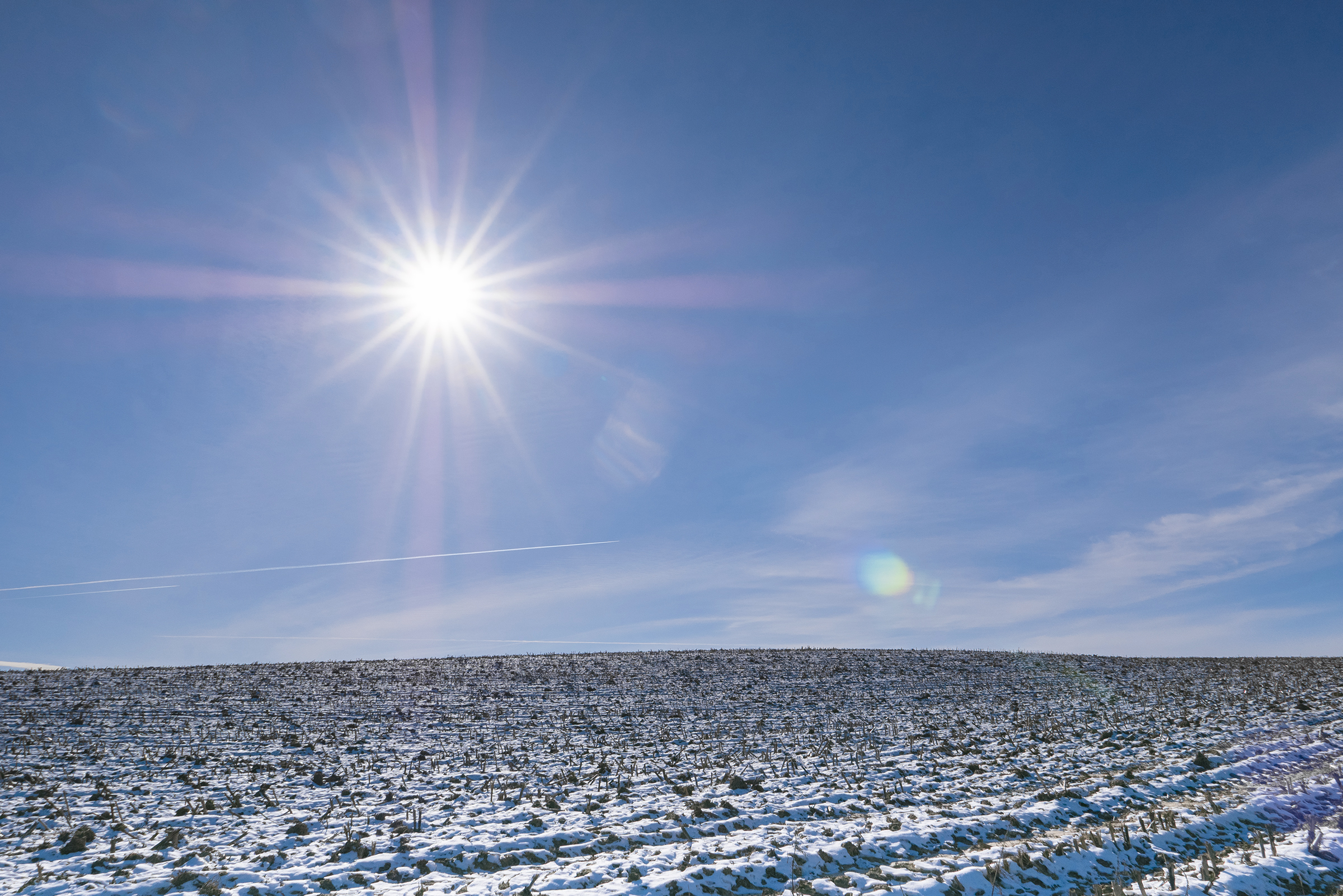 Terres d'hiver