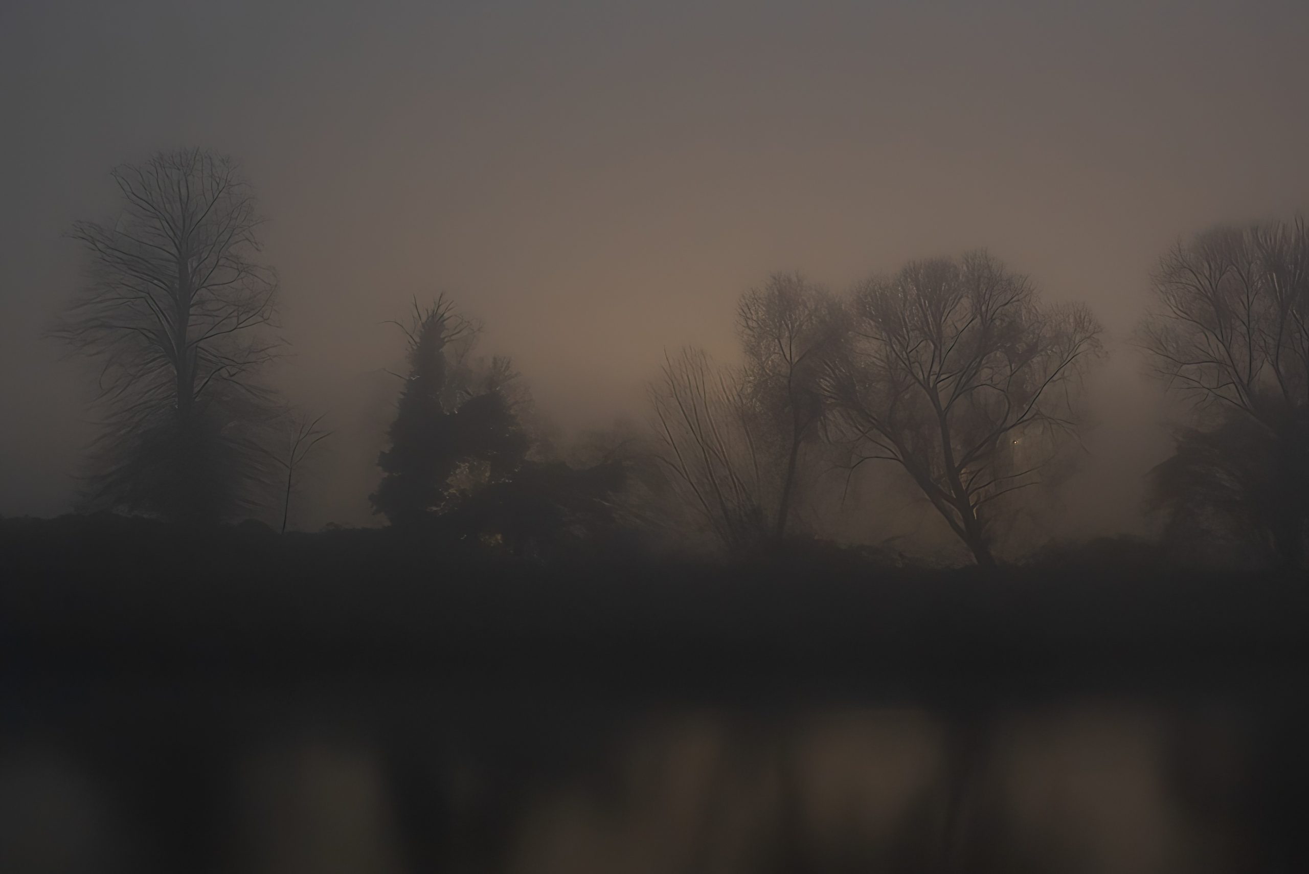 Escaut. Etang du vignoble, Valenciennes