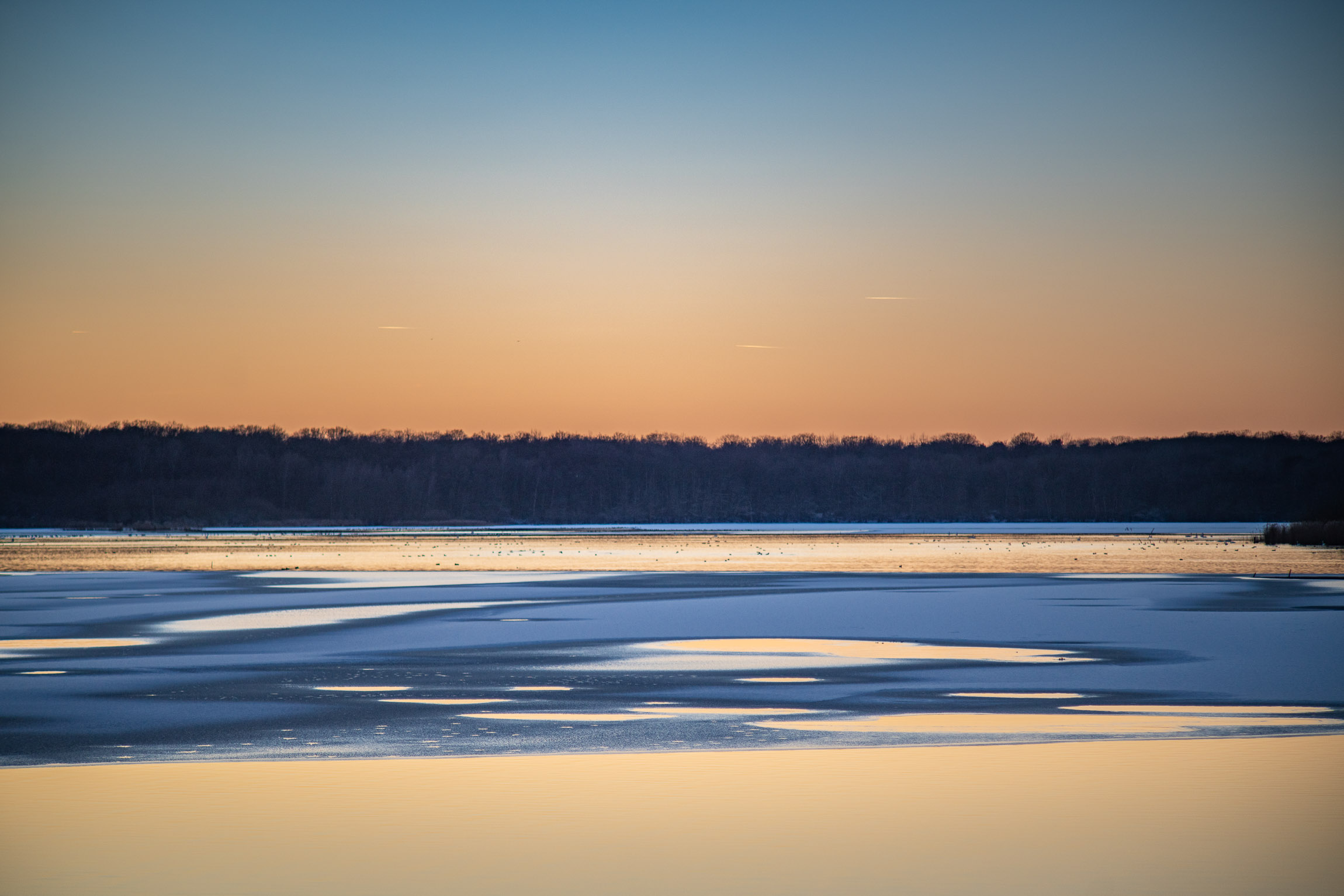 Mare à Goriaux, Janvier 2026