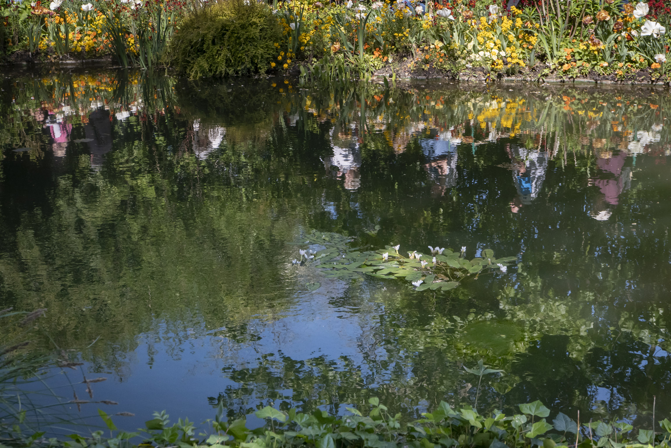 Jardin de Giverny, Avril 2026